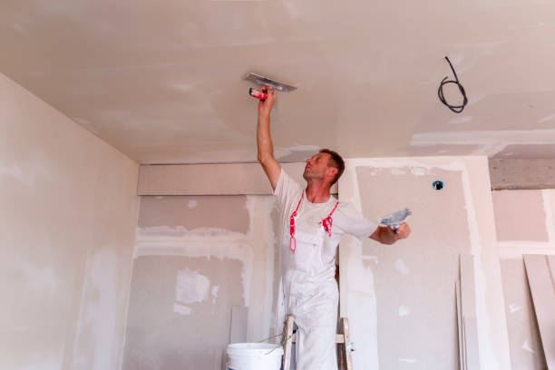 Best Custom Drywall Designs  in Riverside, IL