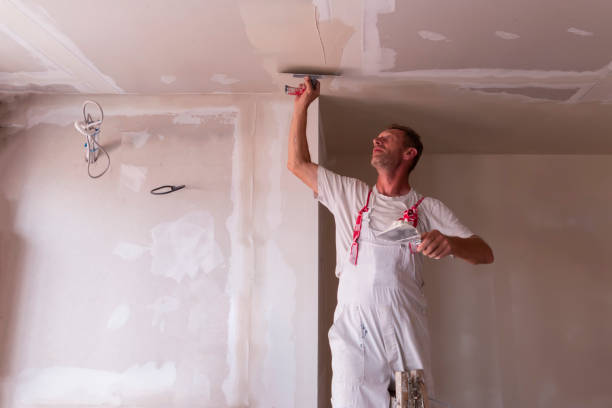 Best Fire-Damaged Drywall Repair  in Riverside, IL