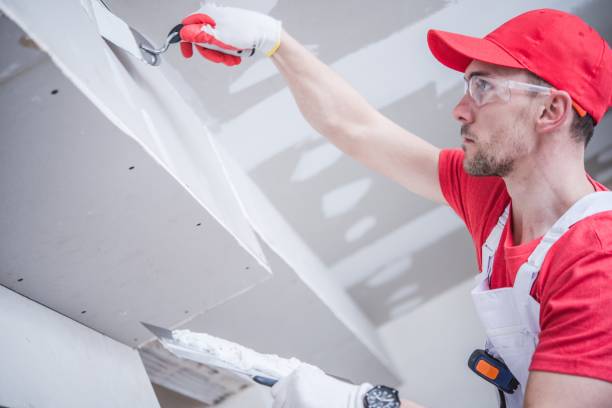 Best Ceiling Drywall Installation  in Riverside, IL